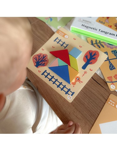 TOOKY TOY Tangram Puzzle 18 pieces - Learning Shapes for Children