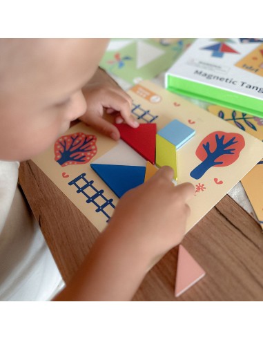 TOOKY TOY Tangram Puzzle 18 pieces - Learning Shapes for Children