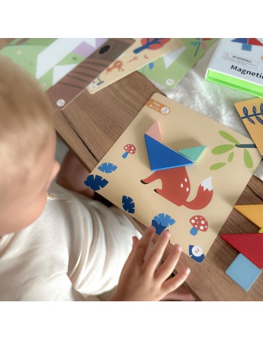 TOOKY TOY Tangram Puzzle 18 pieces - Learning Shapes for Children