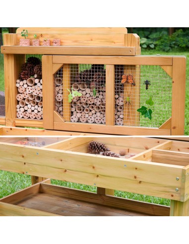 Masterkidz Nature Observation Table - Nature Education