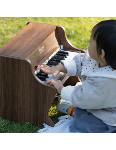 CLASSIC WORLD Medinis klasikinis pianinas su mokymosi knygelė