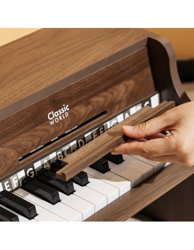 CLASSIC WORLD Medinis klasikinis pianinas su mokymosi knygelė