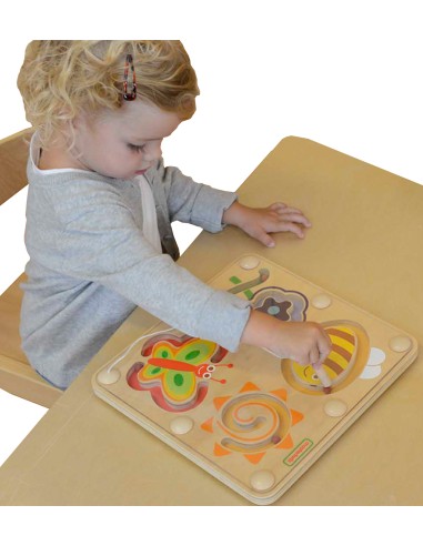 Vabzdžių pasaulis magnetinis labirintas - mokomoji lenta Masterkidz