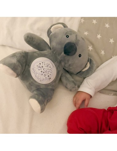 Miś Polar Projektor Przytulanka WOOPIE – 10 Kołysanek i Biały Szum