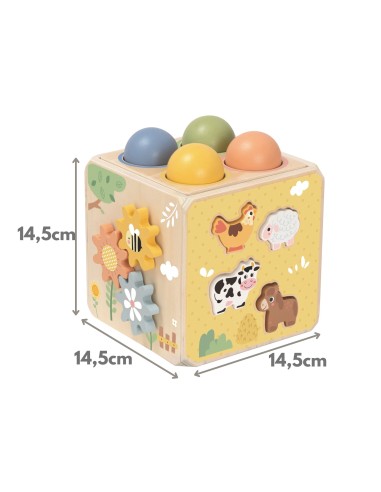 Holz-Bildungswürfel 5 in 1 Tooky Toy – Sorter und Uhr für Kinder