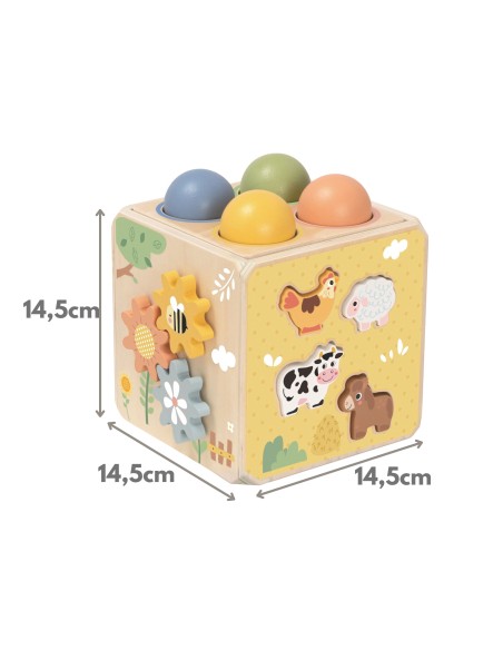 Holz-Bildungswürfel 5 in 1 Tooky Toy – Sorter und Uhr für Kinder