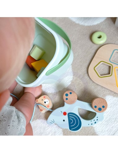 GREEN Box 3in1 Lernset für die Kleinsten – WOOPIE!!