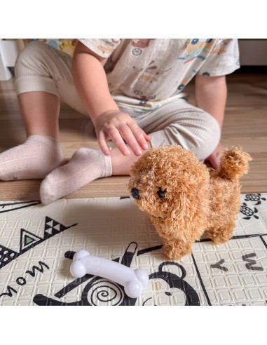 Interactive Plush Dog with Bone Walking Woopie