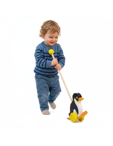 Wooden Penguin Pusher Viga Toys – Play and Child Development