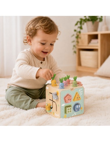 Wooden Educational Cube 5-in-1 Tooky Toy - sorter and clock for children