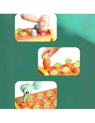 Interactive Montessori Bus 6 in 1 - Toy for Children +18m