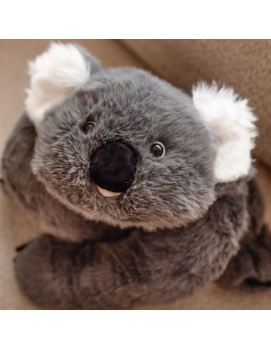 Woopie Sunkintas pliušinis koala Backbao 65cm - Hit!
