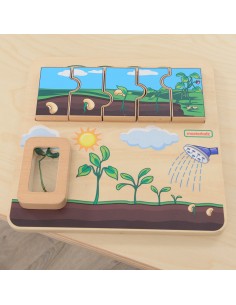Masterkidz Bean Life Cycle Wooden Board - STEM Learning 2
