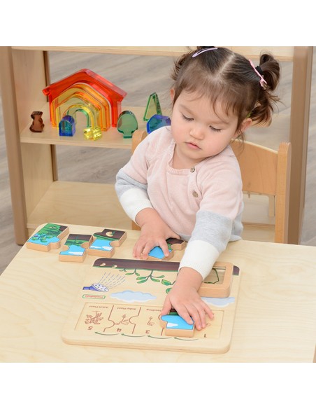 Masterkidz Bean Life Cycle Wooden Board - STEM Learning