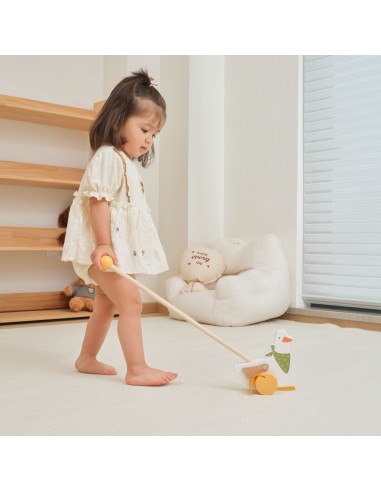 VIGA PolarB Wooden Goose for Pushing on a Stick 12m+
