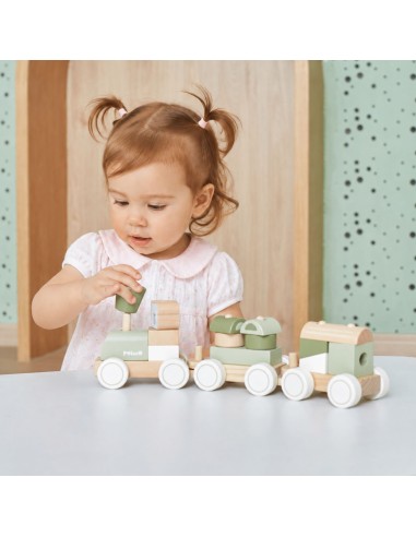 VIGA PolarB Green Train with Carriages - Blocks for Children