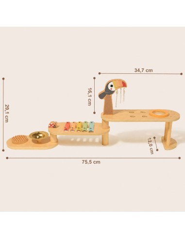 Edukacinis muzikinis staliukas TOOKY TOY, mediniai instrumentai, 8 elementai