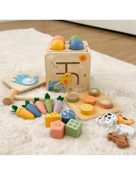 Wooden Educational Cube 5-in-1 Tooky Toy - sorter and clock for children