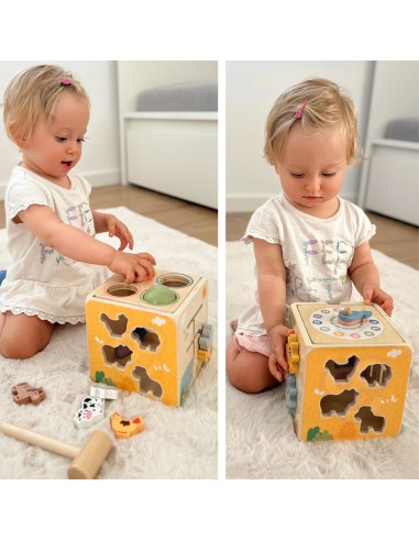 Wooden Educational Cube 5-in-1 Tooky Toy - sorter and clock for children