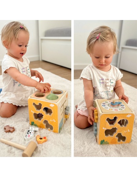 Wooden Educational Cube 5-in-1 Tooky Toy - sorter and clock for children