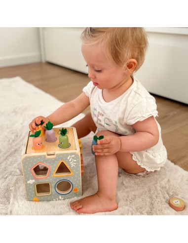 Wooden Educational Cube 5-in-1 Tooky Toy - sorter and clock for children