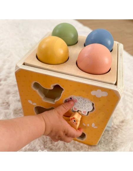 Wooden Educational Cube 5-in-1 Tooky Toy - sorter and clock for children