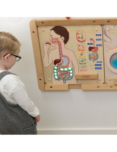 MASTERKIDZ Digestive System Board - Learn about the Human Body through Play