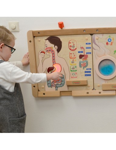 MASTERKIDZ virškinimo sistemos lenta – pažinkite žmogaus kūną žaisdami