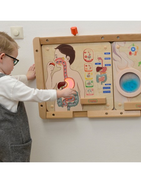 MASTERKIDZ Digestive System Board - Learn about the Human Body through Play