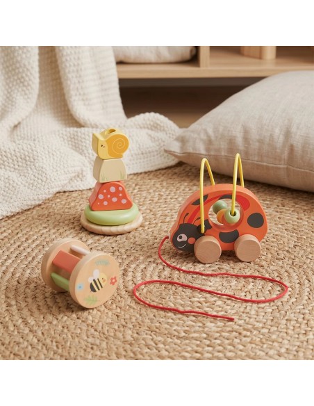 Wooden Ladybug Educational Set 3in1 TOOKY TOY