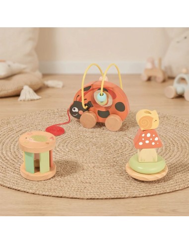 Wooden Ladybug Educational Set 3in1 TOOKY TOY
