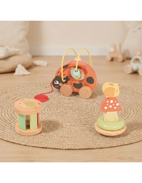 Wooden Ladybug Educational Set 3in1 TOOKY TOY