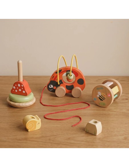Wooden Ladybug Educational Set 3in1 TOOKY TOY