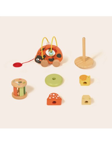Wooden Ladybug Educational Set 3in1 TOOKY TOY
