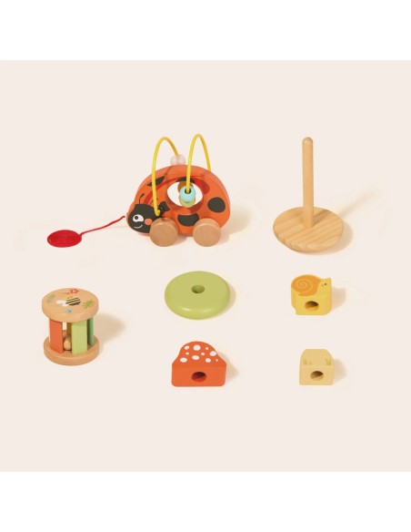 Wooden Ladybug Educational Set 3in1 TOOKY TOY