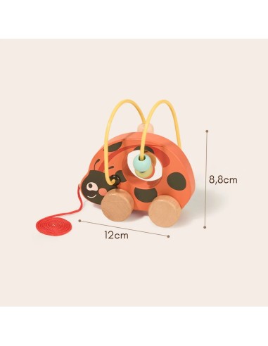Wooden Ladybug Educational Set 3in1 TOOKY TOY