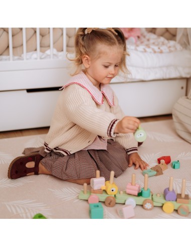 CLASSIC WORLD Montessori Wooden Caterpillar Train Puzzle