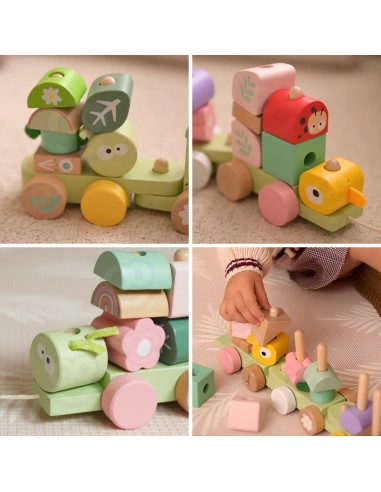 CLASSIC WORLD Montessori Wooden Caterpillar Train Puzzle