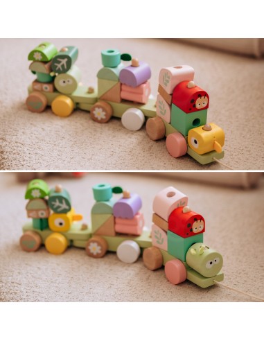 CLASSIC WORLD Montessori Wooden Caterpillar Train Puzzle