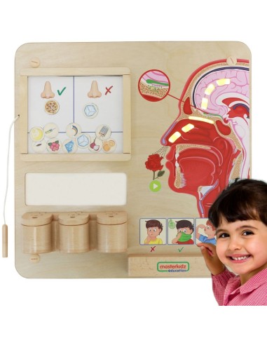 MASTERKIDZ Montessori edukacinė taryba Uoslės pojūtis – lavinimas!