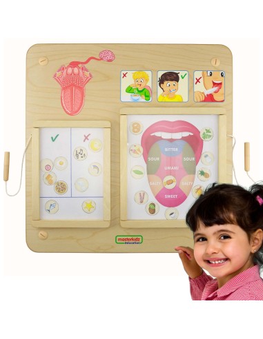 MASTERKIDZ Montessori Sense of Taste Educational Board - Fun and Learning