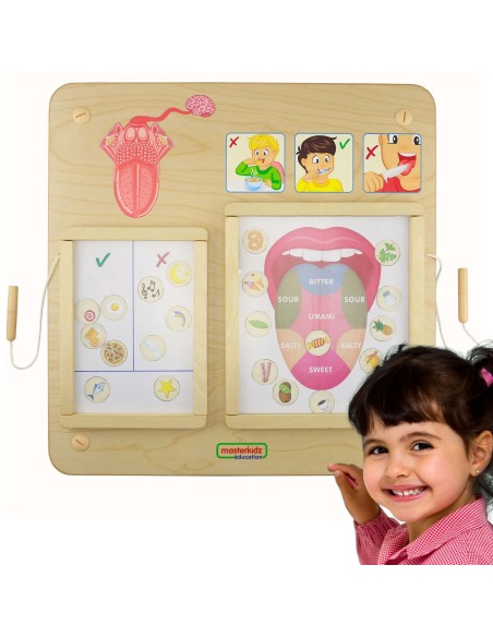 MASTERKIDZ Bildungs-Tafel Geschmackssinn Montessori – Spielen & Lernen