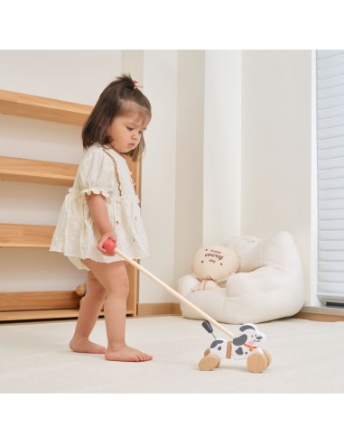 VIGA push dog - wooden toy for toddlers