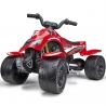 FALK Quad Racing Team Red on Pedals for 3 Years