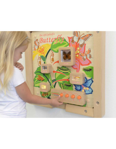 Cykl Życia Motylka Tablica Edukacyjna Masterkidz
