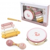 VIGA PolarB Musical Instrument Set Pink