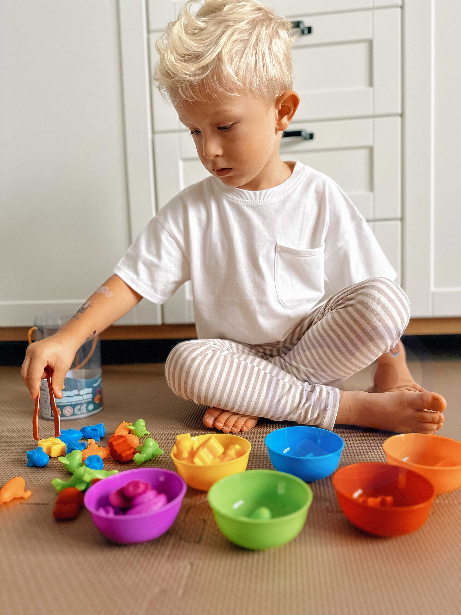 WOOPIE Gra Edukacyjna Montessori Sorter Kolorów Pojazdy 44 el.