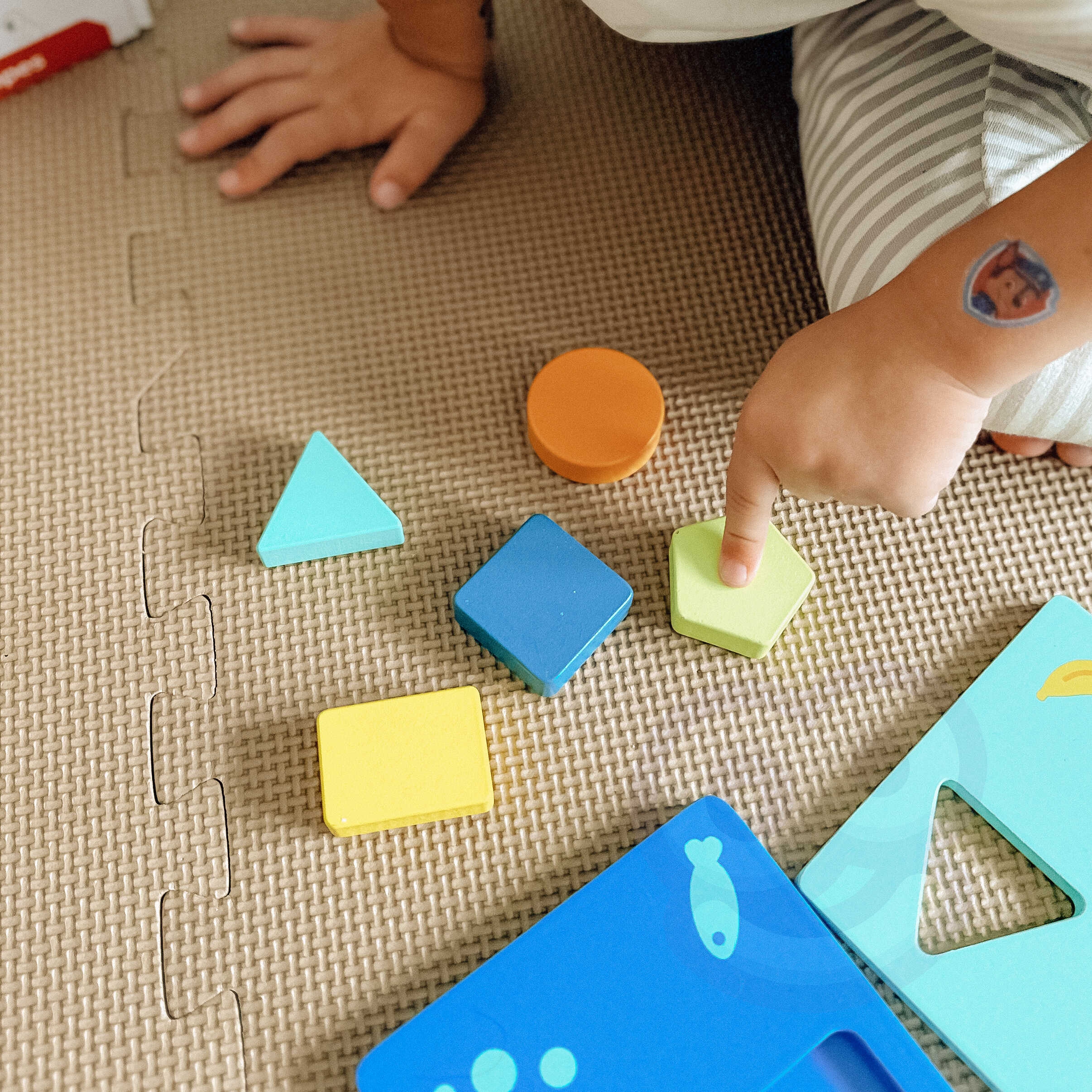 Układanka montessori kształty i kolory zwierzątka 6 planszy fsc
