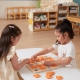 Viga Memory Gra Pamięciowa Zgadnij Obrazki 10 Kart Montessori Duża
