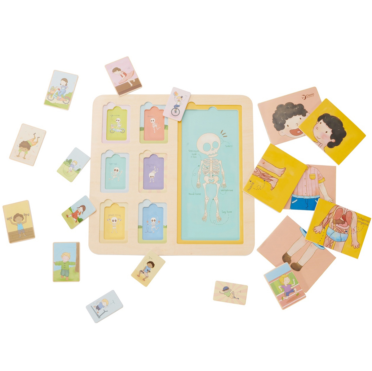 Tablica edukacyjna ciało ludzkie układanka klocki puzzle dla dzieci dopasuj montessori 19 el.